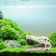 thumbnail image 4 of Adornos decorativos para acuarios, peceras, paisajismo, resina, para evitar reptiles, decoración de acuarios., 4 of 8