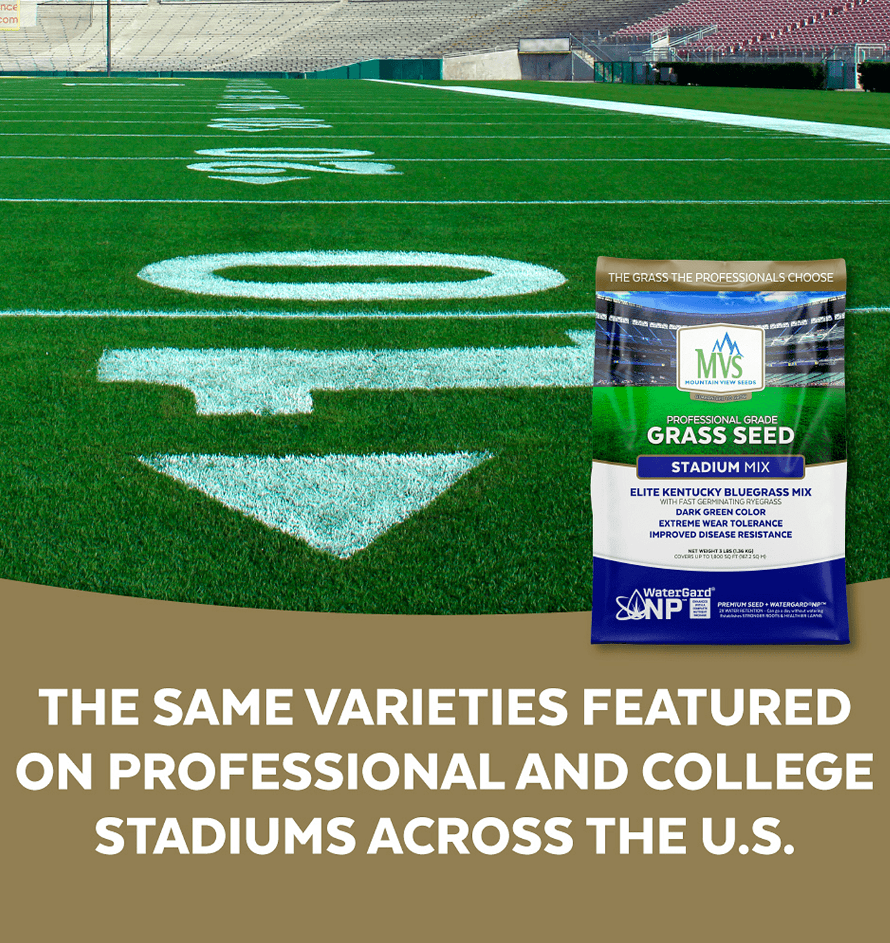 The Andersons Stadium Mix Kentucky Bluegrass Grass Seed - 3 lbs.