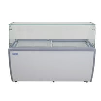 13.1 Cu. Ft. Dipping Cabinet