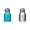 Blue 1 Pack & Silver 1 Pack, variant on Mini Water Bottle Small Water Bottle 300ML Stainless Steel Small Flask Vacuum Insulated Thermal Cup Leak Proof Portable Mini With Hook Green