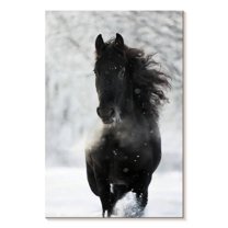 Elephant Stock Dark Friesian Horse Wall Art - Vertical Canvas Wall Art - Living Room Wall Decor - Animal Canvas - White And Black Decor - 32" x 48"