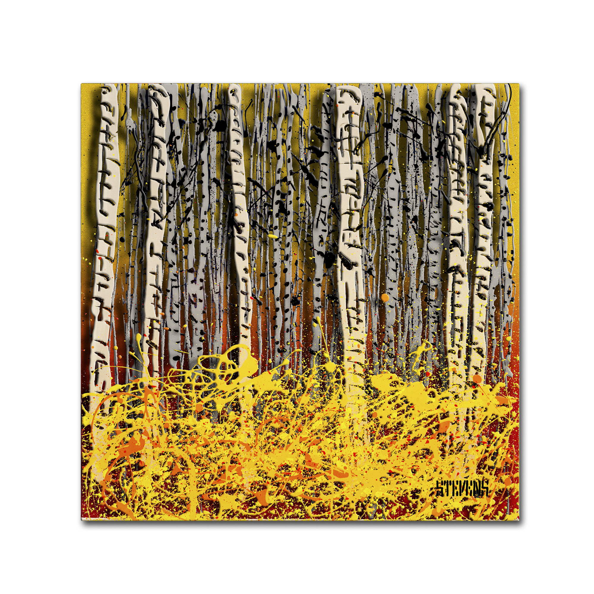 Trademark Fine Art Roderick Stevens 'Fall Aspens' 14 x 14 (RS997-C1414GG)