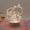 Little Twin Star, variant on Kawaii Sanrio Hello Kitty My Melody Kuromi Night Light Cinnamoroll Pompompurin Pochacco Anime Decoration Led Desk Lamp Gift Toy