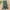 Jungle green, variant on PatPat Kid Girl Star Print Button Design Denim Splice Belted Sleeveless Rompers