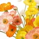 thumbnail image 3 of Paquete de 8 Flores Artificiales Flores de Amapola de Seda para DecoracióN del Hogar Ramo de Boda Fiesta Flor de ImitacióN, Arreglo Floral, 3 of 5