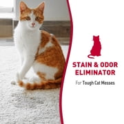Natures Miracle Cat Stain and Odor Remover Foam for Carpet, Hard Floors, Fabric and Furniture, 17.5 oz