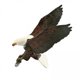 thumbnail image 1 of 2xAnimal Figura De Pájaro Águila Educativa Coleccionable Para Mesa De Centro Escritorio A, 1 of 8