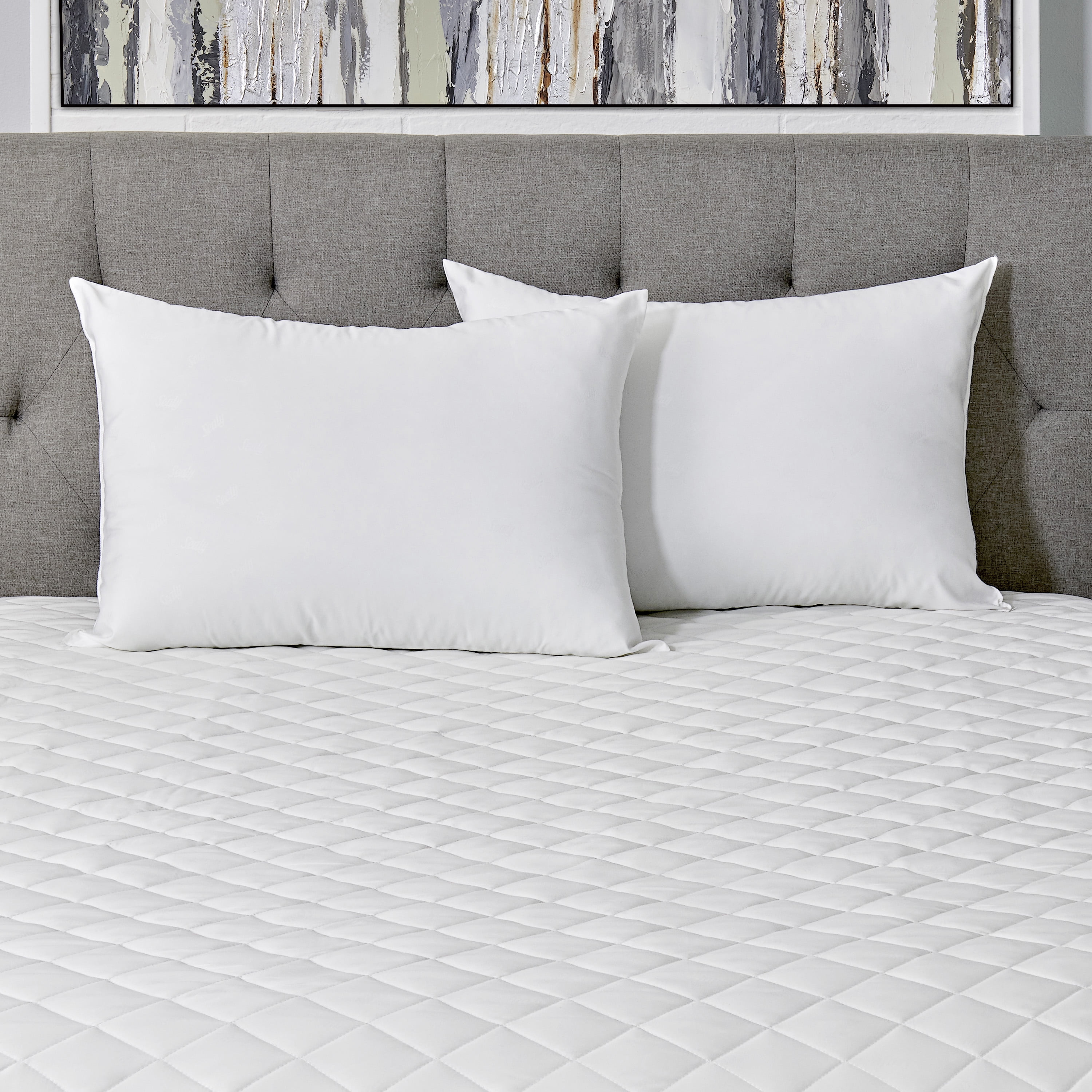 AllerEase Cotton Fresh Bed Pillow, S/Q, White- 2 Pack Antimicrobial Allergy Defense Fabric