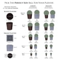 thumbnail image 3 of Third Street Inn 21" XXL Boxwood Topiary Ball 1-Pack, 3 of 4
