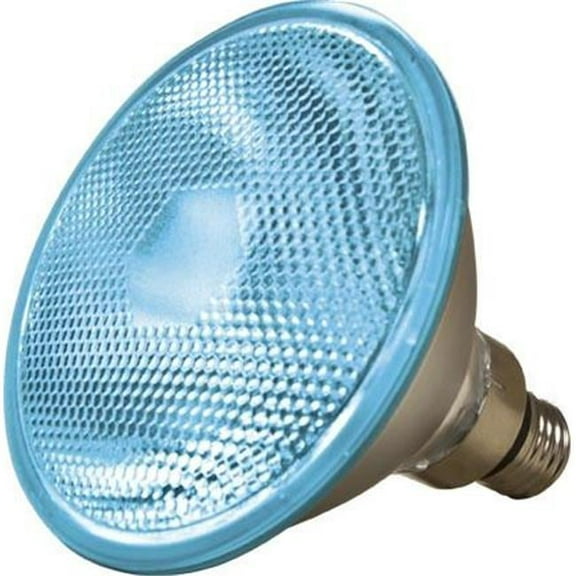 PAR38 Type Medium Base 100 watt MH Blue 120 V Lamp