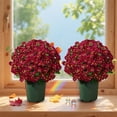 thumbnail image 7 of 5 Bunches Red Artificial Mums Flowers for Outdoors Realistic Faux Fall Flowers with Stems Silk Outdoor Floral Arrangement Porch Garden Yard Decor, 7 of 7