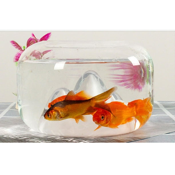 Mini Fish Rockery Bowl Glass Aquarium Tank Goldfish for Office Desktop  Decor 