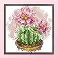 thumbnail image 1 of Cuadros Decorativos Bordado parcial Hilo de algodón ecológico Kit de punto de cruz de cactus impreso de 14 quilates (H963) Wdftyju  embutido en tela, 1 of 9