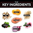 thumbnail image 5 of Force Factor Immunity, with Elderberry, Vitamins C & D, Zinc, Quercetin, & Echinacea, 90 Tablets, 5 of 9