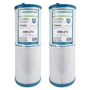 2 Guardian Pool Spa Filter Replaces Unicel 4CH-949 Spa Rising Dragon 4CH-949 FC-0172 FC0172 PWW50L