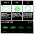 thumbnail image 4 of Uxcell 1000-Pack Glow in the Dark Rocks, 0.31"-0.43" Resin Outdoor Garden Decorations Luminous Pebbles Stones [Cyan], 4 of 6