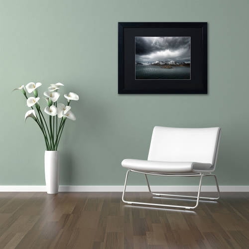 Trademark Fine Art "Grey" Canvas Art by Philippe Sainte-Laudy, Black Matte, Black Frame