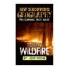 Jaw-Dropping Geography: Fun Learning Facts about Wicked Wildfires: Illustrated Fun Learning for Kids
