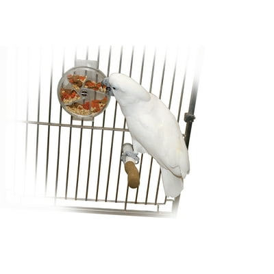 Buy Interactive Foraging Wheel for Small Pets at Ubuy Uganda