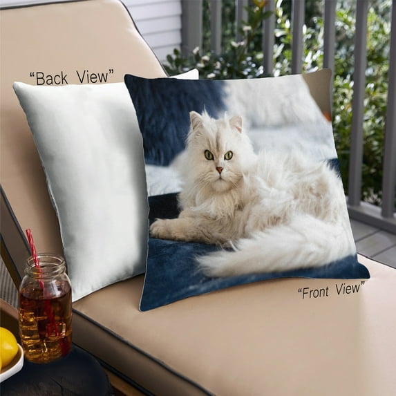 Ahgly Company Cat Cats Outdoor Throw Pillow, 18 inch by 18 inch