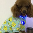 thumbnail image 3 of Collar de perro ligero, collar de perro LED recargable, collar de seguridad ajustable micro USB para perro, 3 of 5