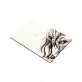 thumbnail image 2 of RYLABLUE Tapis de Sol Intérieur Extérieur 23.6x15.7 Pouces, 2 of 2