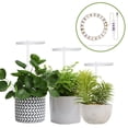 thumbnail image 2 of DOLITY LED Grow Light Full DC5V Full LED Lamp for Succulents Indoor Sunshine A, 2 of 8