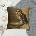 thumbnail image 2 of Orinice Owl Graphic Decorative Cushion Throw Pillow Cover for Home Living Room Sofa, Cotton Linen Pillowcase, Printed on Both Sides, 1PC 24x24in, 2 of 5