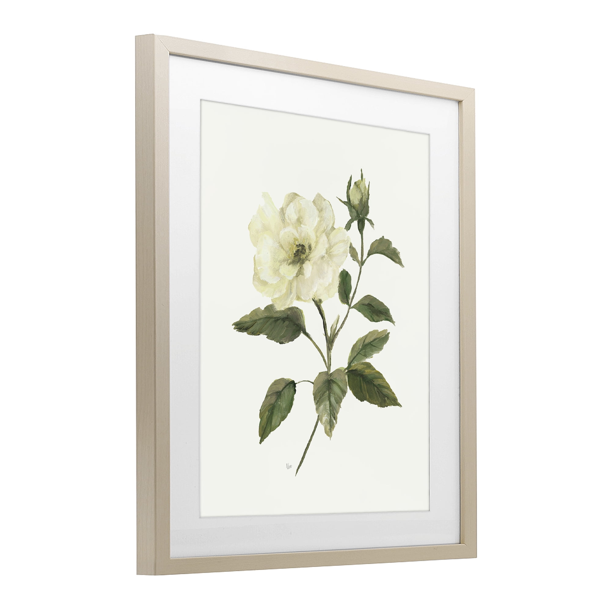 Stupell Industries Ivory Rose Bloom With Green Foliage Birch Framed Print Under Glass, design by Nan