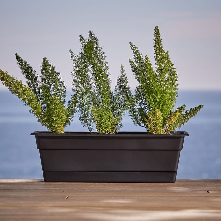 Trough Window Box Window Planter Box Whitefurze Venetian Window Box – 40cm Plant Trough ...