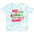thumbnail image 3 of Inktastic Who Needs Santa when I Have Grammy Boys or Girls Toddler T-Shirt, 3 of 5