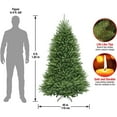 thumbnail image 3 of National Tree 6 Foot Dunhill Fir Tree (DUH-60), 6`, 3 of 7