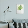 thumbnail image 5 of Stupell Industries Tropical Green Palm Fan Minimal on White Black Framed, 24 x 30, Design by Melissa Hyatt LLC, 5 of 5