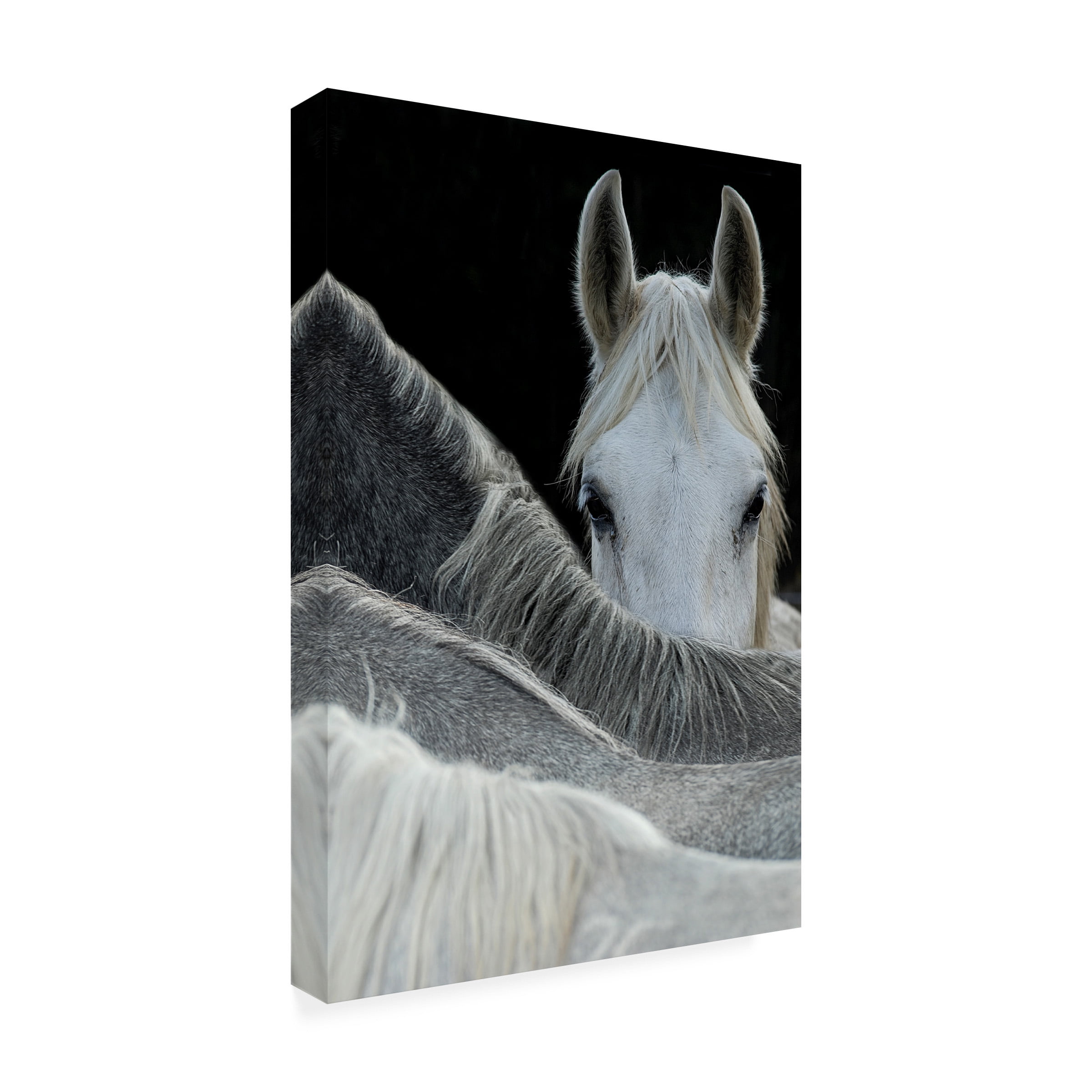 Milan Malovrh 'Look' Canvas Art