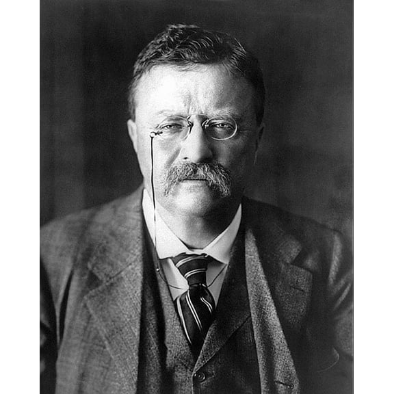 President Theodore Roosevelt Portrait - 12x18 Inch Laminated Poster - Stunning Detail and Bold Colors