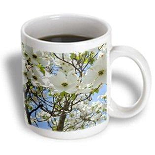 

3dRose Spring White Flowering Tree Flowers Floral Photography Ceramic Mug 11-ounce