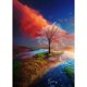 thumbnail image 1 of Taladro diamante pintura (DE1115) 5D DIY árbol de fantasía completo punto de cruz bordado conjunto 30x40cm FLhrweasw Nuevo, 1 of 2