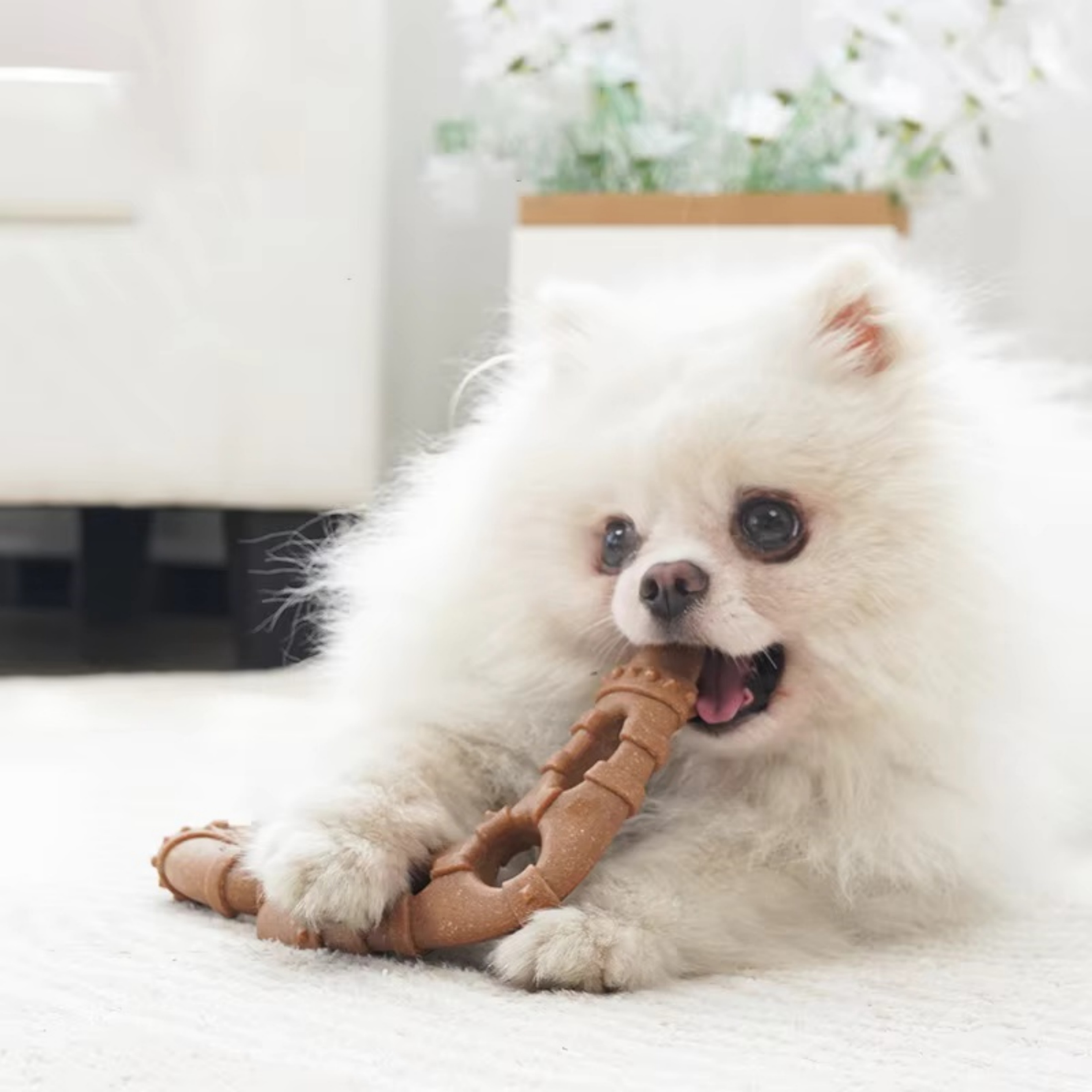 Newborn Dog Chew Toys,4 Pack Indestructible Dog Toys With Tough Wood-plastic Chew Toy Gift For Large Medium Small Breed