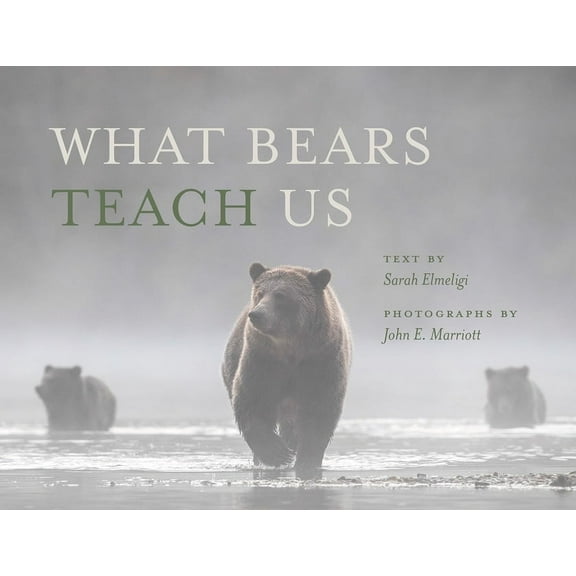 What Bears Teach Us, (Paperback)
