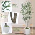 thumbnail image 7 of APRILSOUL 2Pack Tall Faux Olive Tree, 7FT Olive Trees Artificial Indoor with Large White Planter and Natural Wood Trunk and Realistic Leaves, Fake Olive Tree for Home House Office Décor, 7 of 7