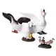 thumbnail image 3 of 7 piezas de simulación Mini cisnes modelo animales muñeca en miniatura juguetes adornos para decoraciones CUTICAT Juguete de figuras de animales, 3 of 8