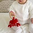 thumbnail image 5 of DICHA Wood Baby Rattle-Crochet Baby Rattle- Infant Rattle Sensory Development Wooden Toys Set-includes Beech Wooden Teething Ring-Crab, 5 of 7