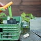thumbnail image 1 of BRIGHTFUFU 20Ud Accesorio Reutilizable Tapón Transparente Para Cajas De Plantación Y Macetas De Jardín, 1 of 8