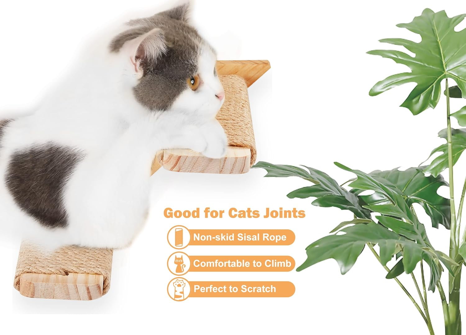 PELUOMOZ Wall Mounted Cat Ladder with Reversible Sisal Steps, Natural Wood Climbing Shelf