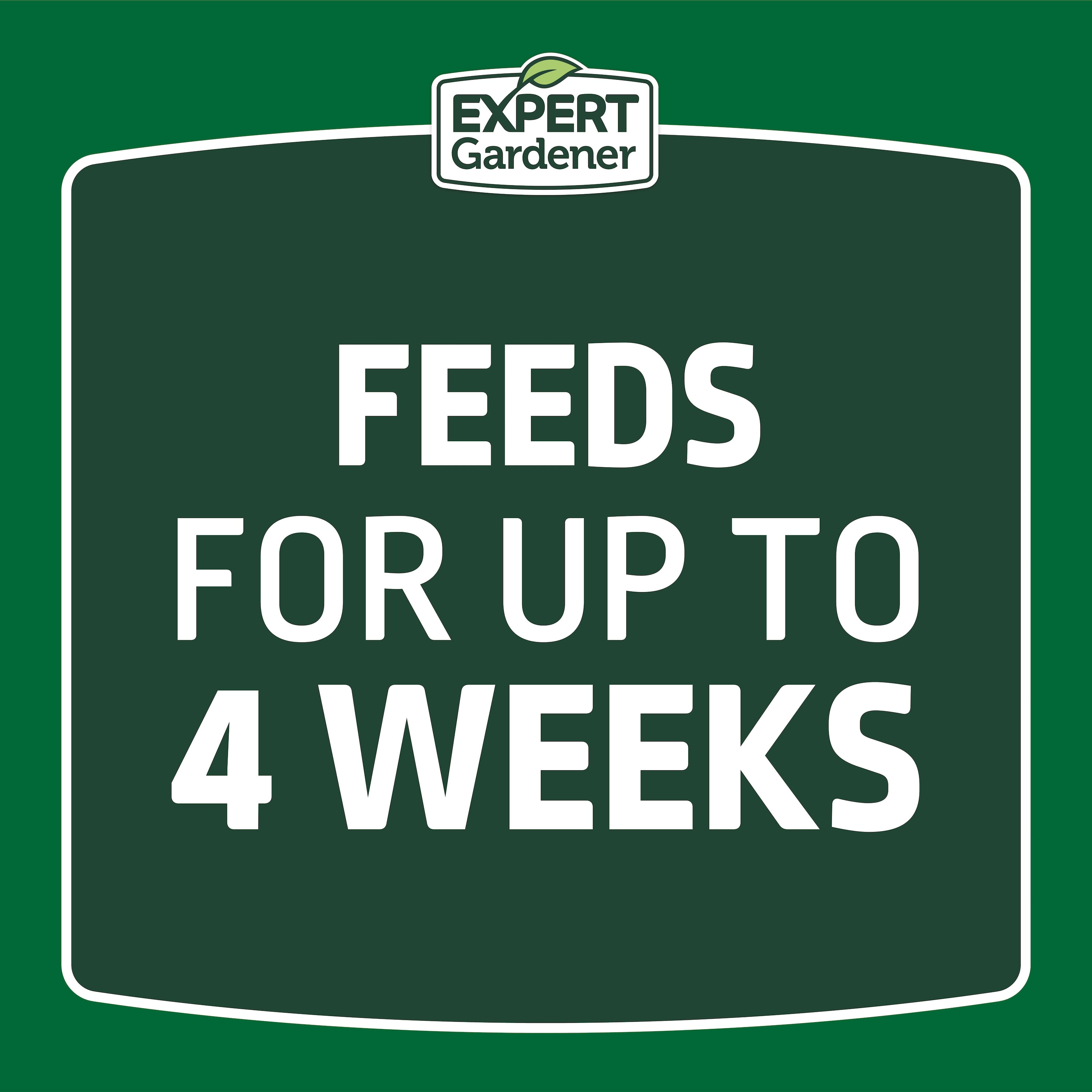 Expert Gardener Ready to Spray Lawn Food, 22-0-3 Fertilizer, 32 oz. Liquid