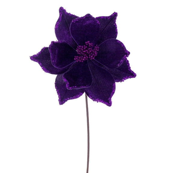 21.5" Plum Poinsettia 10" Flower 6/Bag