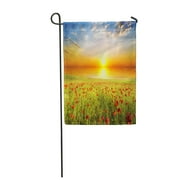 JSDART Sunrise Field Green Grass and Red Poppies Against The Sunset Garden Flag Decorative Flag House Banner 28x40 inch