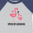 thumbnail image 4 of Inktastic Grandma Loves Me Flamingo Grandchild Girls Baby Bodysuit, 4 of 5