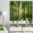 thumbnail image 3 of Design Art - Forest with Rays of Sun Panorama, 3 of 5