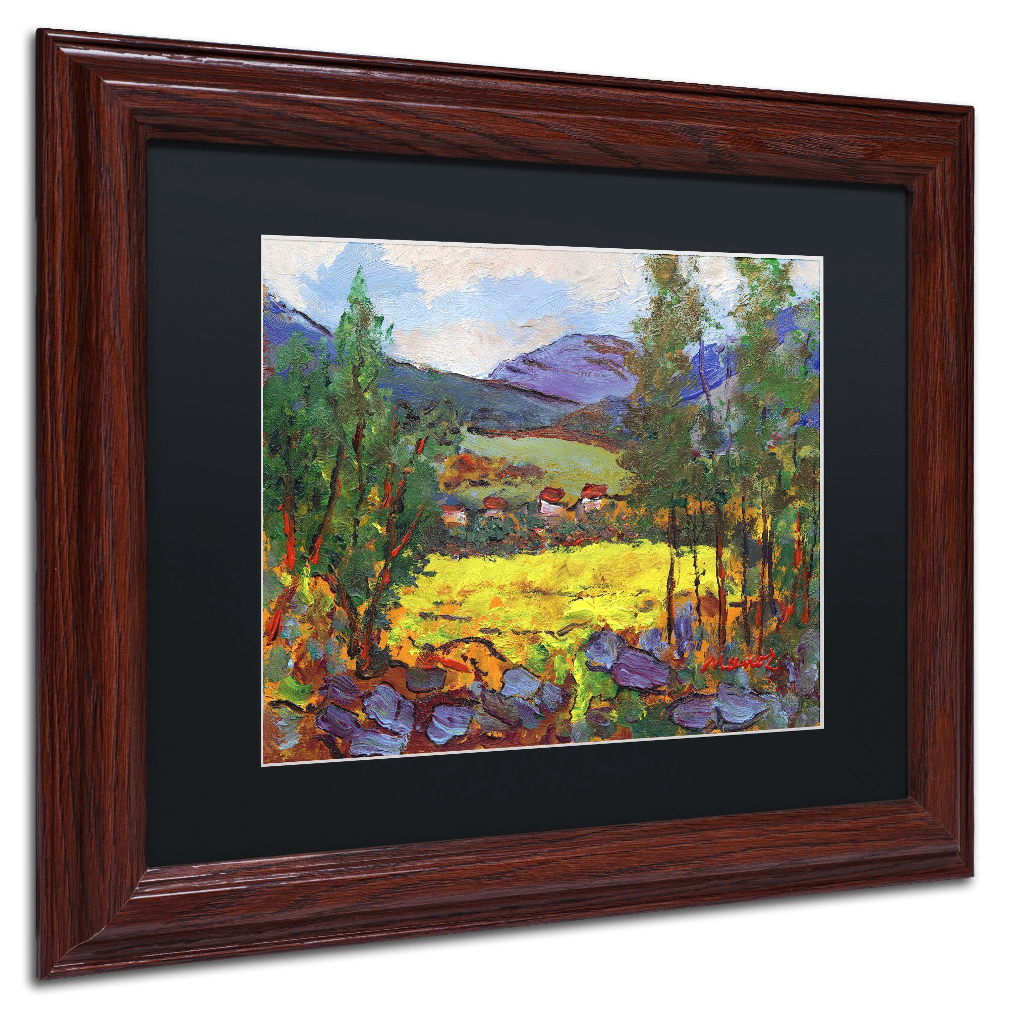 Trademark Fine Art "Gilded Glade" Canvas Art by Manor Shadian Black Matte, Wood Frame